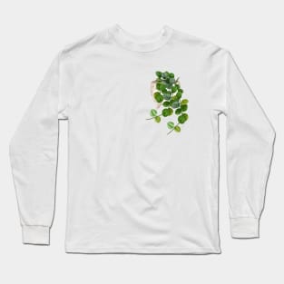 Hoya Serpens Long Sleeve T-Shirt